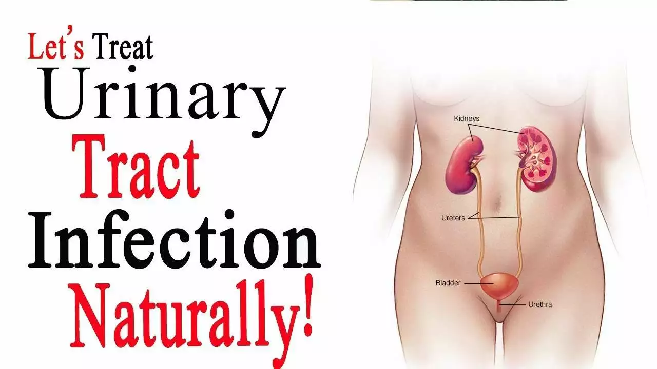 Can Amoxicillin Treat Urinary Tract Infections? The Facts